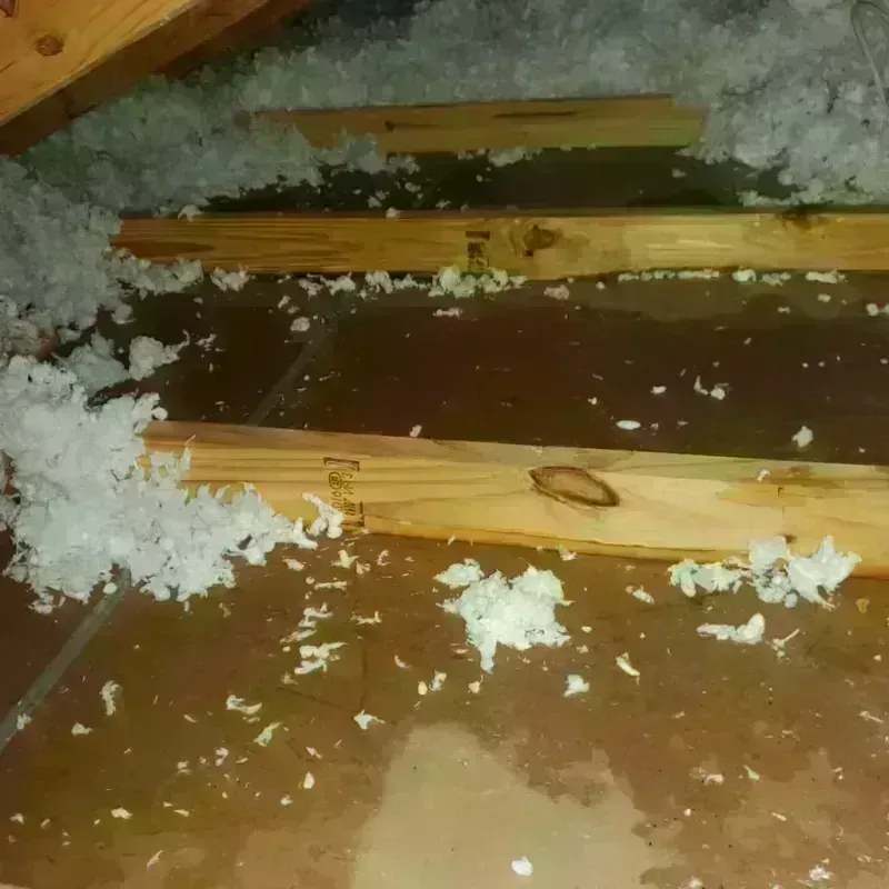 Attic Water Damage in Luna County, NM